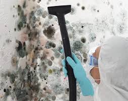 Trusted Verona Walk, FL Mold Removal & Remediation Experts